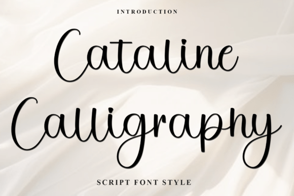 Cataline Calligraphy: A Festive Font for Makers